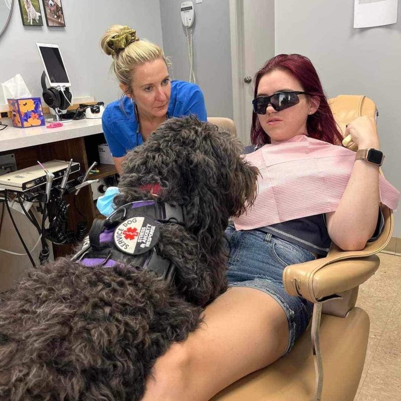 Service dog applying deep pressure at the dentist with handler